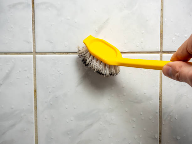 Best Attic Mold Removal  in Westphalia, MD