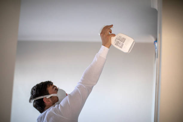 Best Residential Mold Removal  in Westphalia, MD