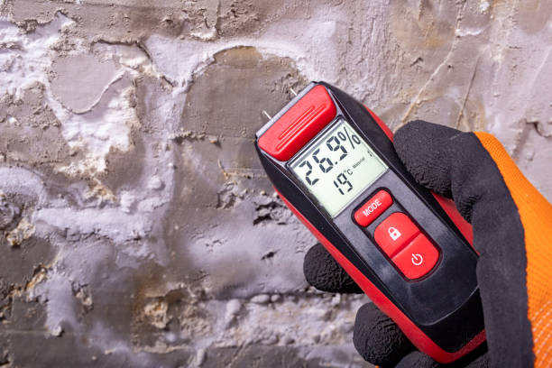 Best Crawl Space Mold Removal  in Westphalia, MD