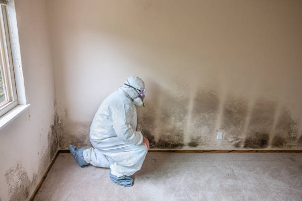 Best Certified Mold Removal  in Westphalia, MD