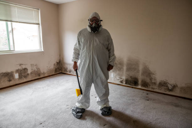 Mold Removal and Inspection in Westphalia, MD